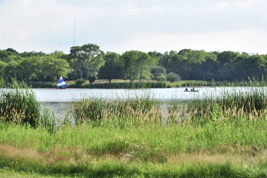 A lake with trees and grass in the foreground.