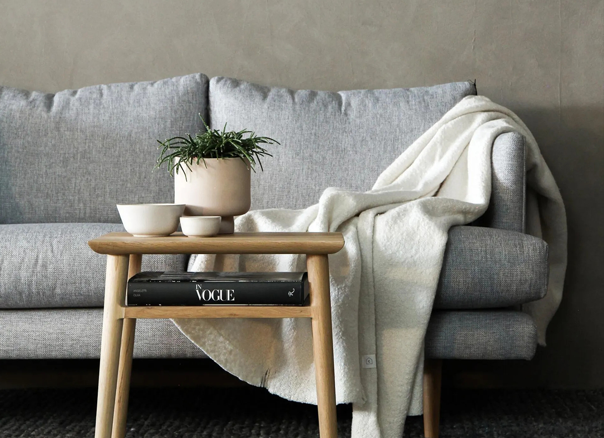 A couch with a plant on top of it